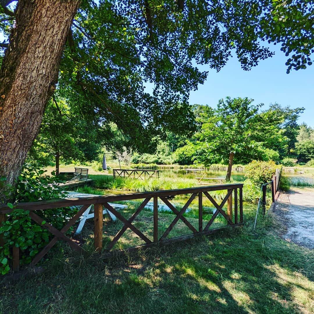 Pêche à la Truite Parentis